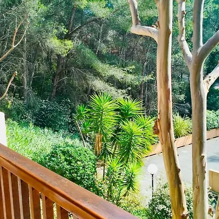 Les Cystes Appartement Sanary-sur-Mer